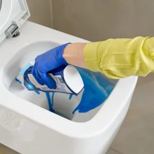 Dispenser to keep the toilet clean